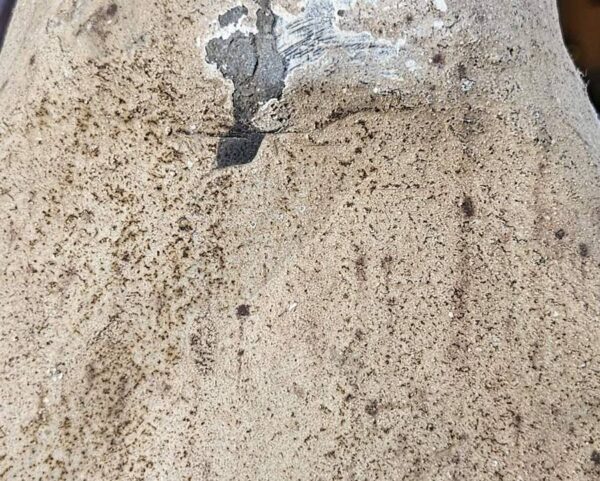 Close view lower body skirt where top base potter is exposed - Han Dynasty Court Lady