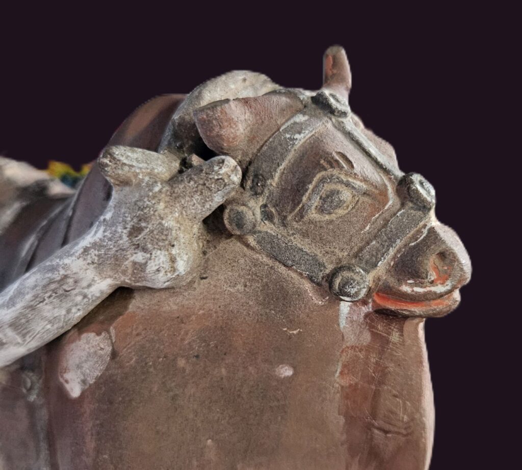 Face view Sui Dynasty Terracotta Ox