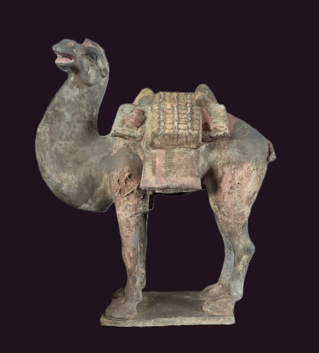 Northern Wei Dynasty 6th century Bactrian Camel