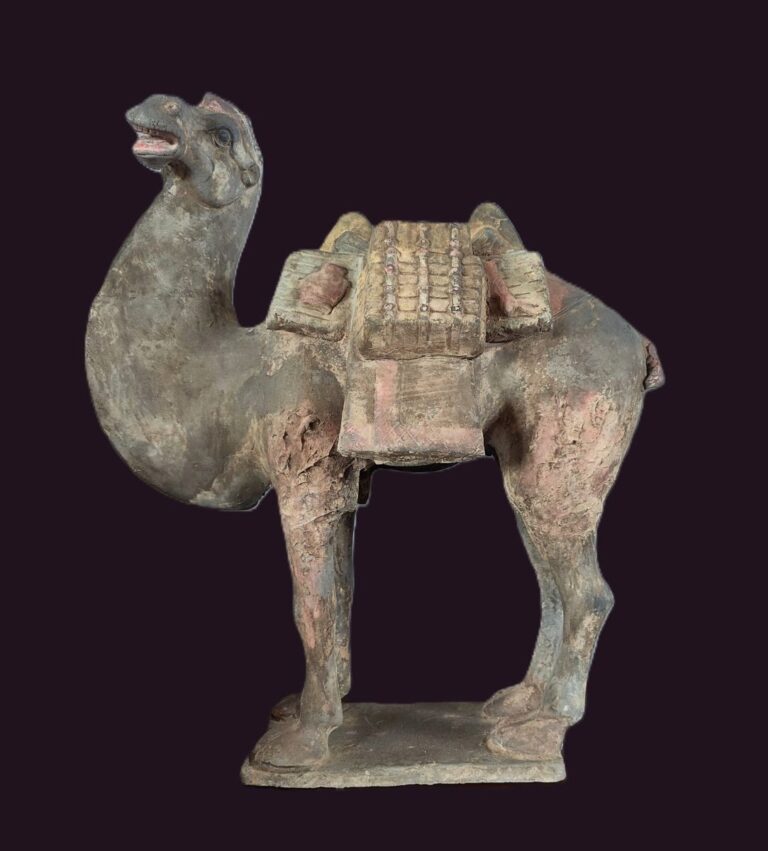 Northern Wei Dynasty 6th century Bactrian Camel
6 Northern Wei Dynasty 6th century Bactrian Camel