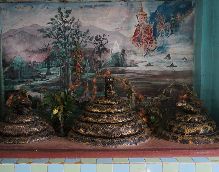 Serpent Worship - Naga Myths & Legends